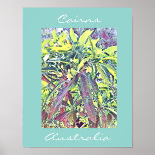 Affiche Frangipani Tree Cairns Australie tropicale
