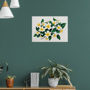 Affiche Frangipanier blanc et jaune à l'aquarelle Fleur