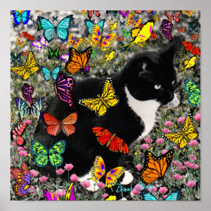 Affiche Frapules en papillons - Tuxedo Kitty