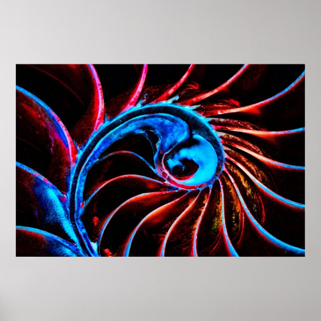 Affiche Freaky Nautilus (Devant)