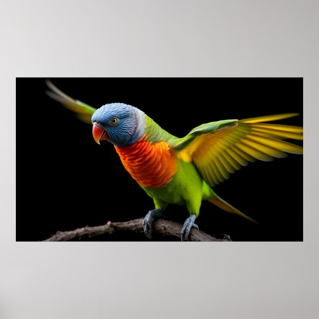 Affiche 🌈 Freedom Flight Lorikeet - Dynamic Rainbow (Devant)