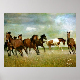 Affiche Freedom motivational artworks - Running horses ins