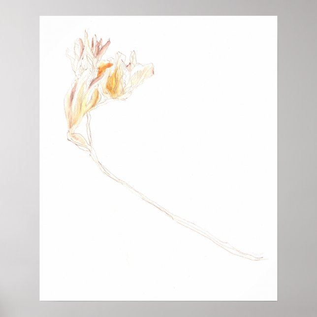 Affiche Freesia No. 3 séché (Devant)