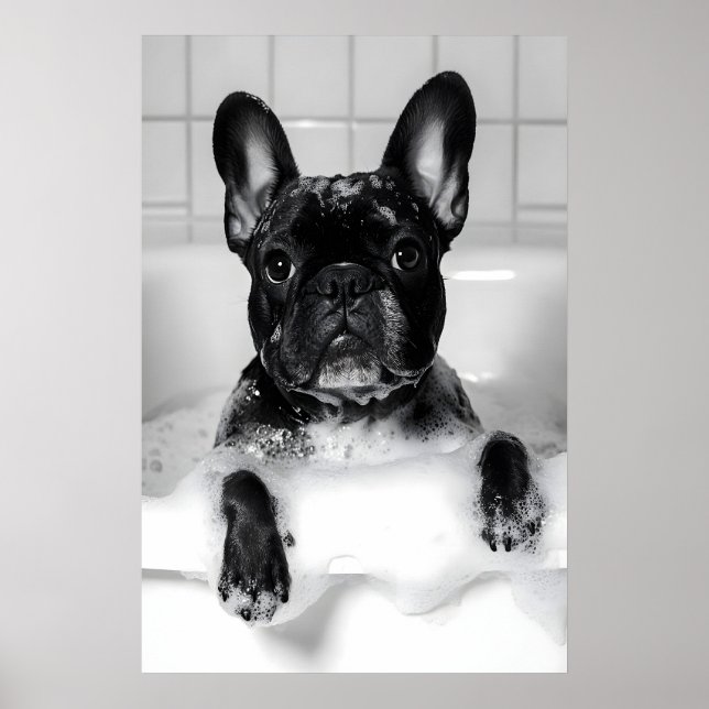 Affiche French Bulldog Bubble Bath Print, Funny Dog (Devant)