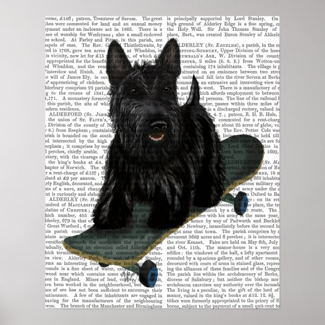 Affiche French Bulldog Plain (Devant)