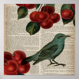 Affiche frentry bird retro botanical red cherry