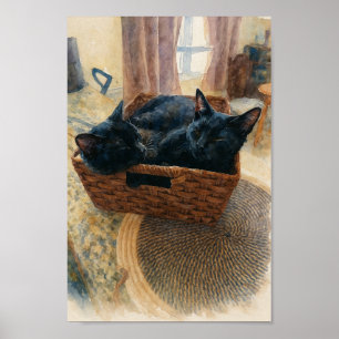 Affiche Frère et soeur amour de chat