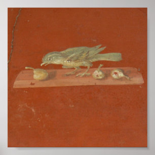 Affiche Fresco, Villa Oplontis