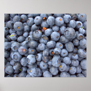 Affiche Fresh blueberry photography