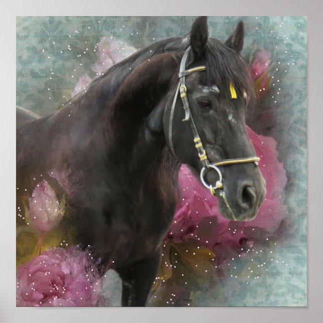 Affiche Friesian Horse - Art Print (Devant)