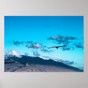 Affiche Frigatebird flottant au-dessus de l'affiche océani