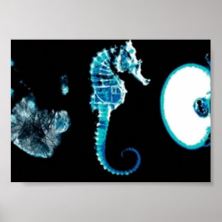 Affiche Fringe Glyphs