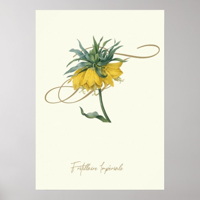 Affiche Fritillaire (Devant)