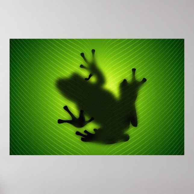 Affiche Frog (Devant)
