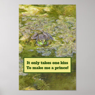 AFFICHE FROG POSTER/IL NE PREND QU'UN KISS POUR ME TRANSFO