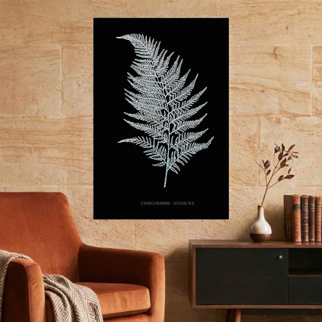 Affiche Frondes de fougère ocre, Gymnogramma Ochracea (Ochre Fern Frond, Gymnogramma Ochracea. Poster)