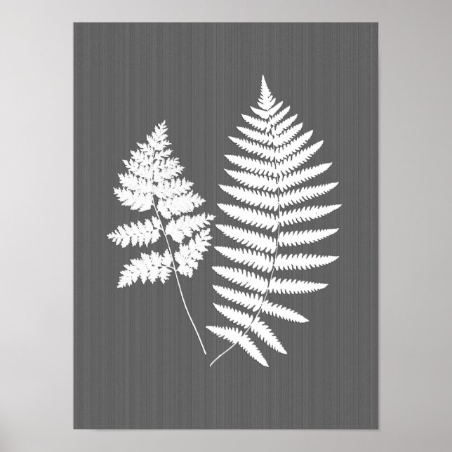 Affiche Fronds de fougères, blanc sur gris charbon / gris (Devant)