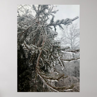 Affiche Frost d'hiver