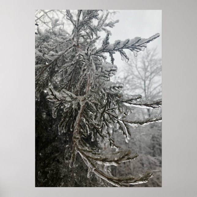 Affiche Frost d'hiver (Devant)