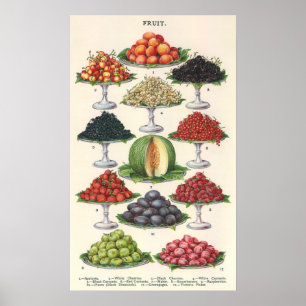 Affiche Fruit assorti par nourritures vintages sur des