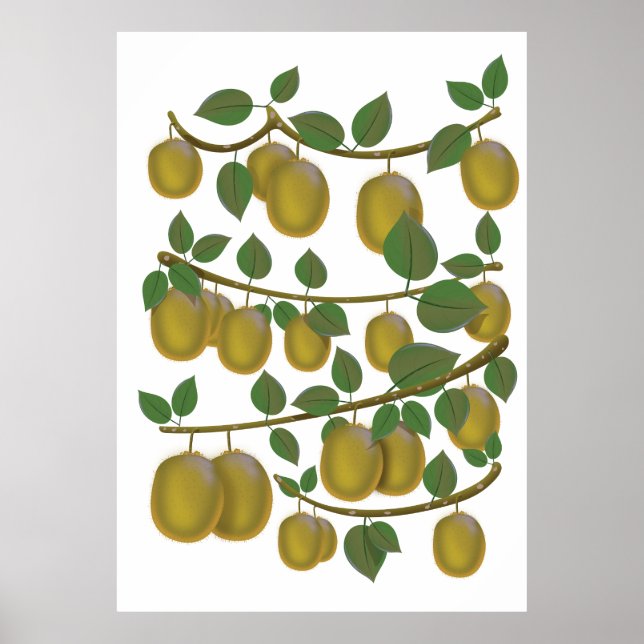 Affiche Fruit de kiwi (Devant)