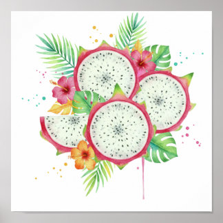 Affiche Fruit du dragon et hibiscus tropical à l'aquarelle