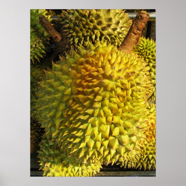 Affiche Fruit durian (Devant)