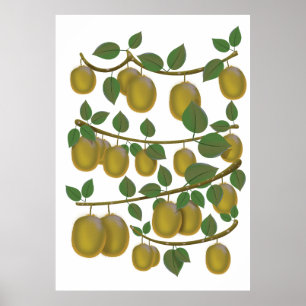 Affiche Fruit Kiwi