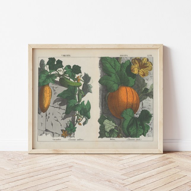 Affiche Fruits | Charlotte Mary Yonge (Créateur téléchargé)