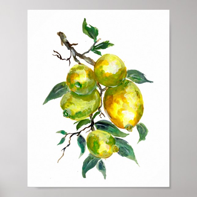 Affiche Fruits de citron suspendus à une branche d'arbre (Devant)