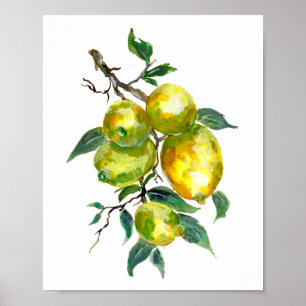 Affiche Fruits de citron suspendus d'une branche d'arbre