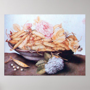 AFFICHE FRUITS DE SAISON 6 - HARICOTS ET ROSE