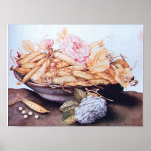 AFFICHE FRUITS DE SAISON 6 - HARICOTS ET ROSES