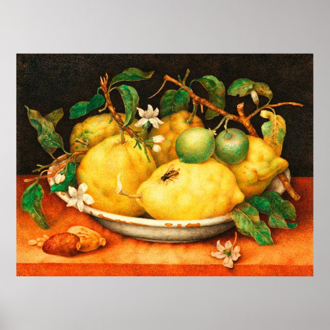 AFFICHE FRUITS DE SAISON CITRONS ET FLEURS BLANCHE (Devant)