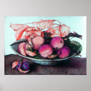 AFFICHE FRUITS DE SAISON / PÊCHES ET PRUNES