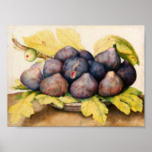 AFFICHE FRUITS DE SAISON / PLAQUE AUX FIGUES ET FEUILLES V