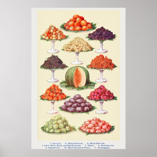 Affiche Fruits vintages (Devant)