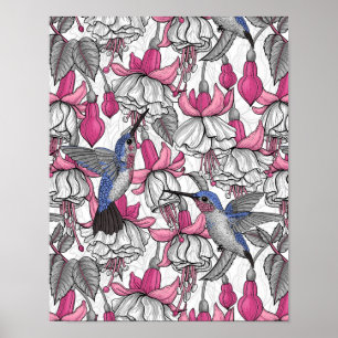 Affiche Fuchsia et colibris blancs