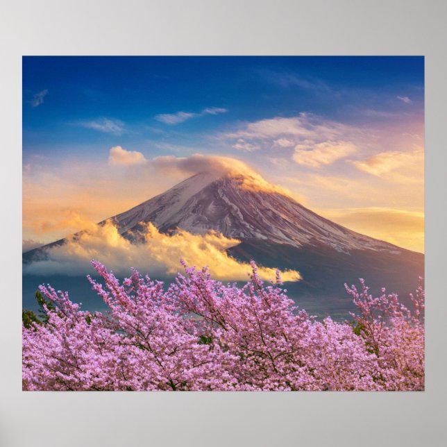 Affiche Fuji Mountain et fleurs de cerisiers au printemps  (Devant)