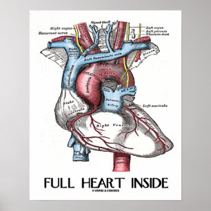 Affiche Full Heart Inside Anatomical Illustration