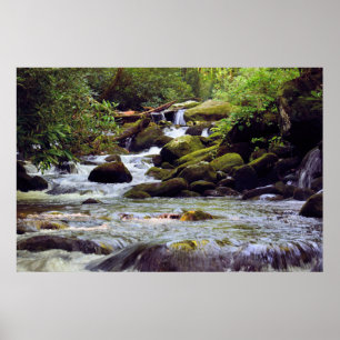 Affiche Fumé Mountain Stream - GSMNP