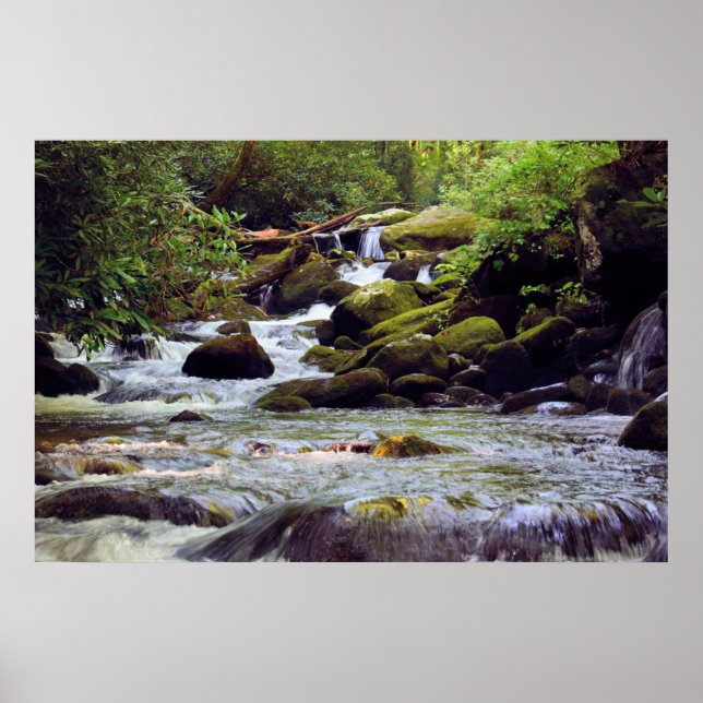 Affiche Fumé Mountain Stream - GSMNP (Devant)