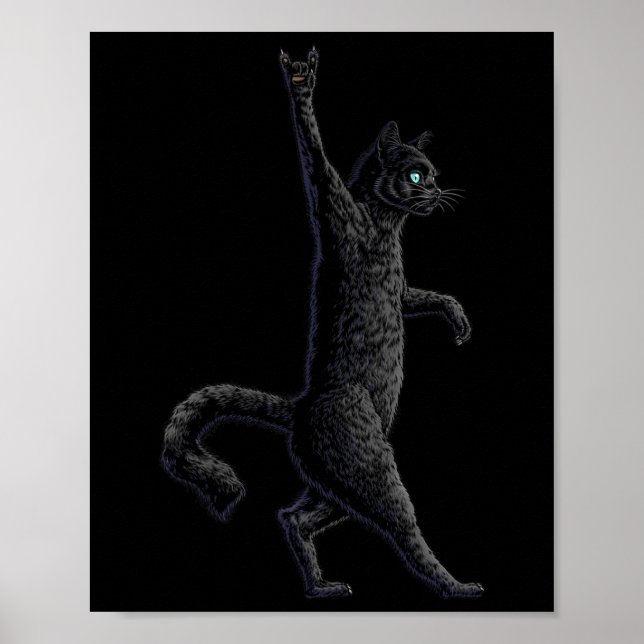 Affiche Fun Cat Rock On Rock And Roll - Concert Band Tee - (Devant)