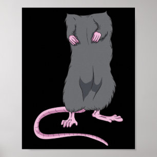 Affiche Fun Souris sans tête Halloween Rat Body Costume fa
