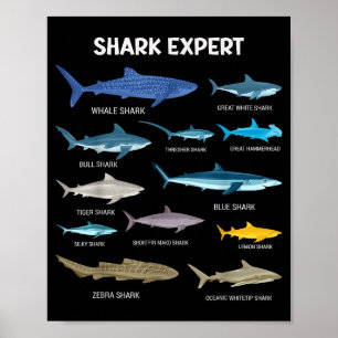 Affiche Fun Tee-shirt Requin Pour Hommes Océan Poisson Enf