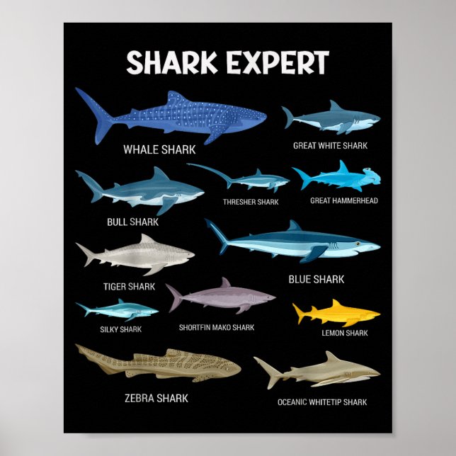 Affiche Fun Tee-shirt Requin Pour Hommes Océan Poisson Enf (Devant)