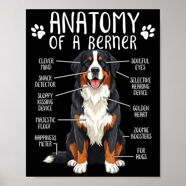Affiche Funny Anatomy Bernese Mountain Dog Cute Berner Lov (Devant)