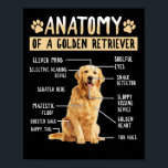 Affiche Funny Anatomy Golden Retriever Amoureux des chiens<br><div class="desc">Funny Anatomy Golden Retriever Amoureux des chiens cadeau</div>