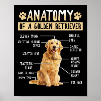 Affiche Funny Anatomy Golden Retriever Amoureux des chiens