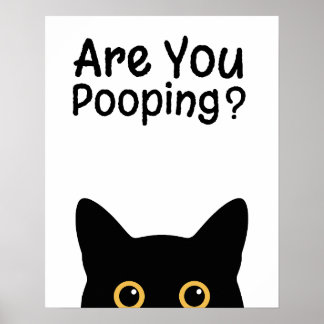 Affiche Funny Black Cat Sign - Are You Pooping?